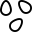 Black Seed Products